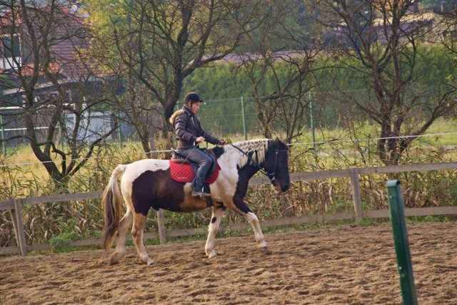 Hubertus 2009